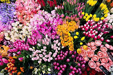 《风火轮:爆发》销量突破200万 注册玩家超800万